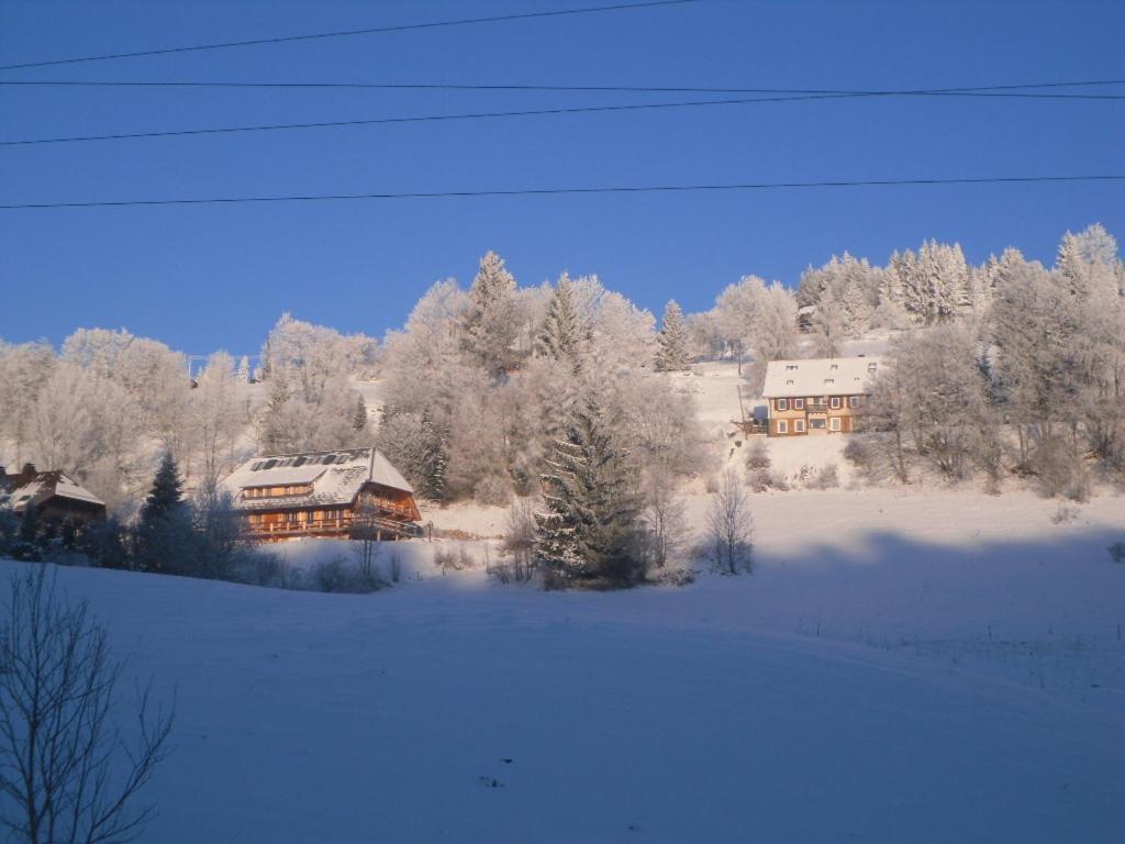 Landgasthaus Gemsennest Hotel Feldberg  Exterior foto