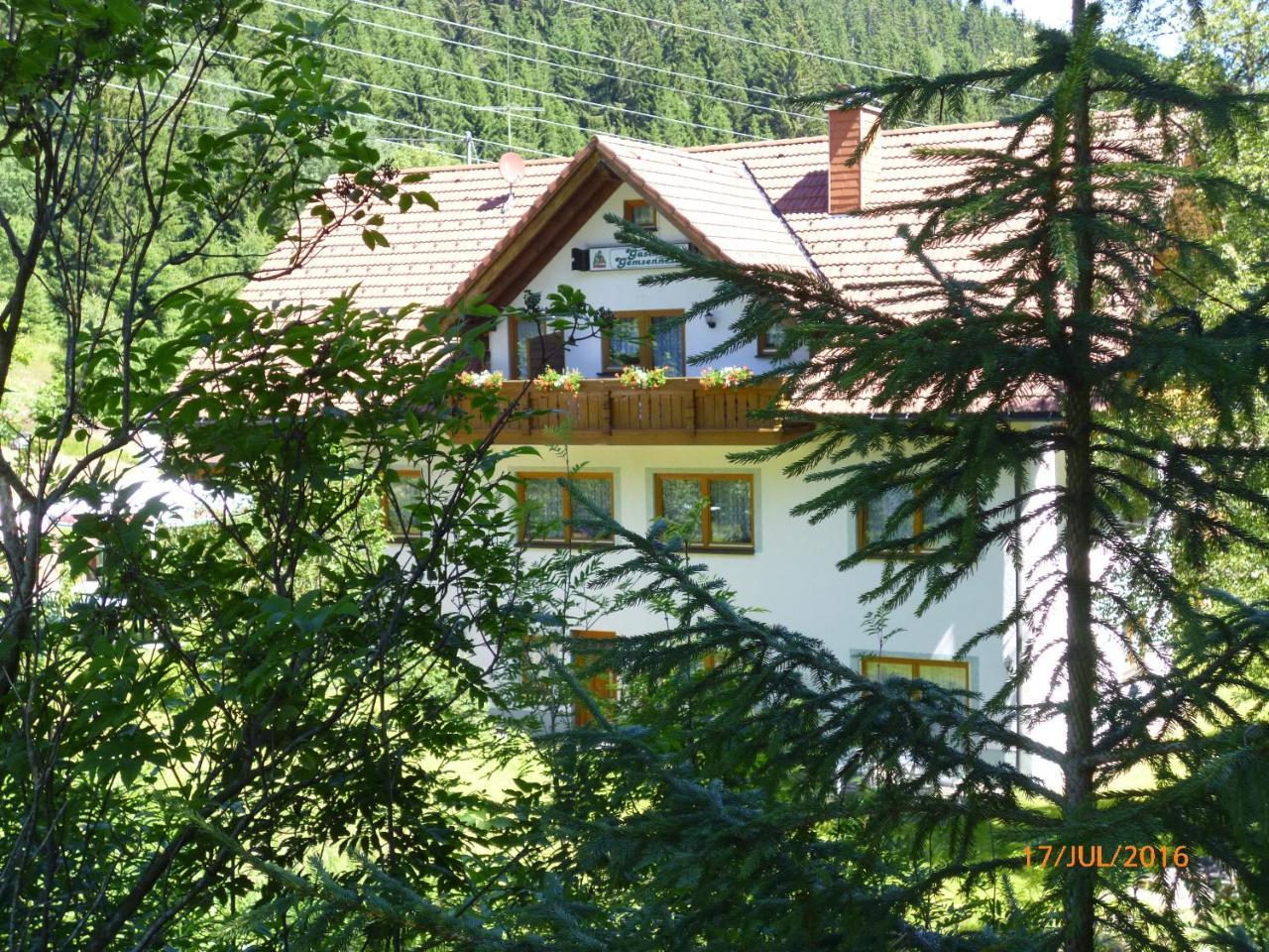 Landgasthaus Gemsennest Hotel Feldberg  Exterior foto